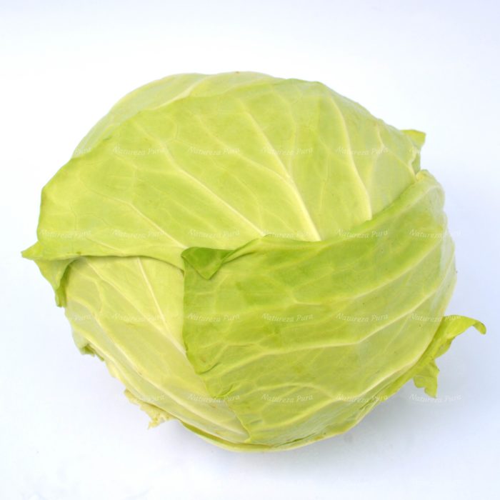 Repolho Verde orgânico