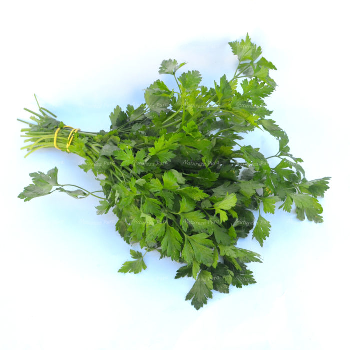 Salsinha orgânica (maço)