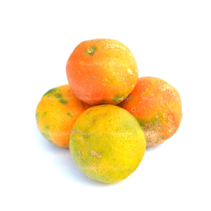 Limão Rosa orgânico (500g)