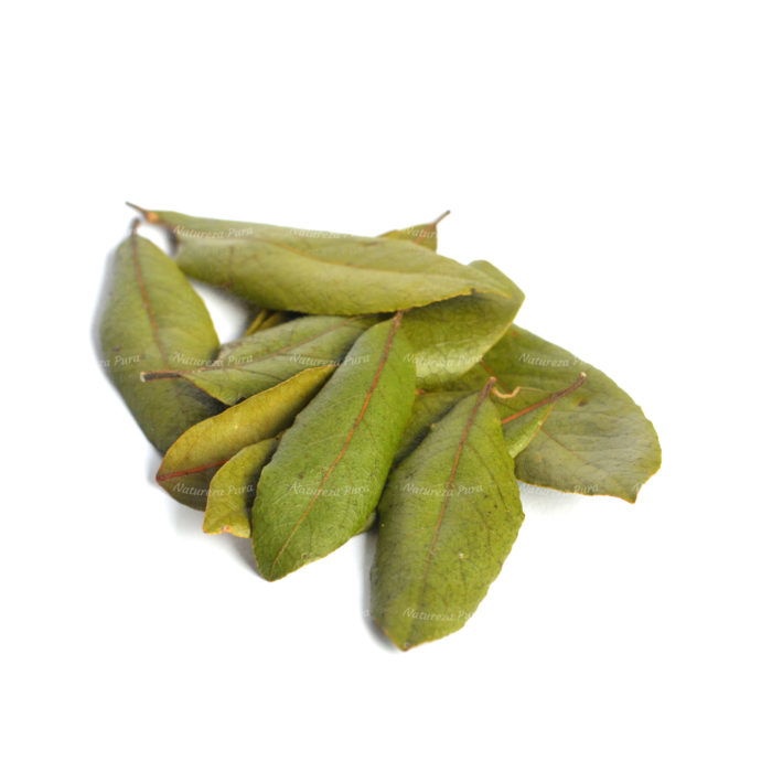 Louro em folhas orgânico (20 gramas)