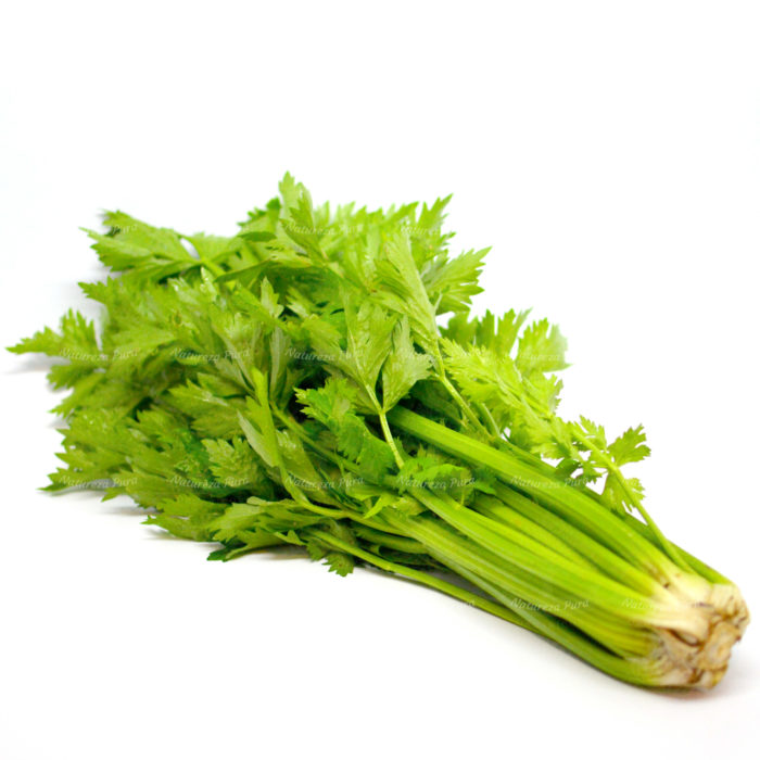 Salsão orgânico