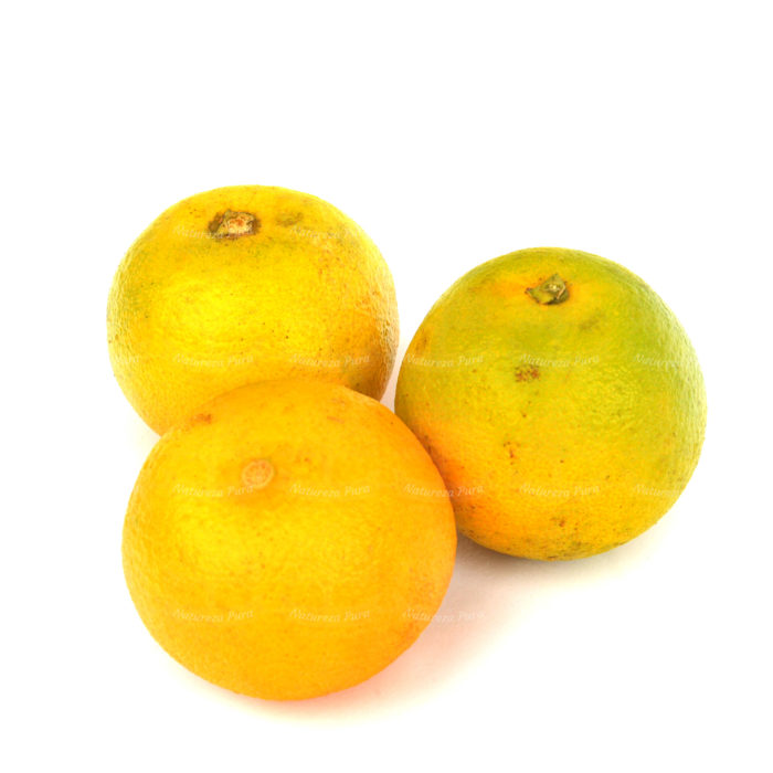 Laranja Bahia orgânica (500g)
