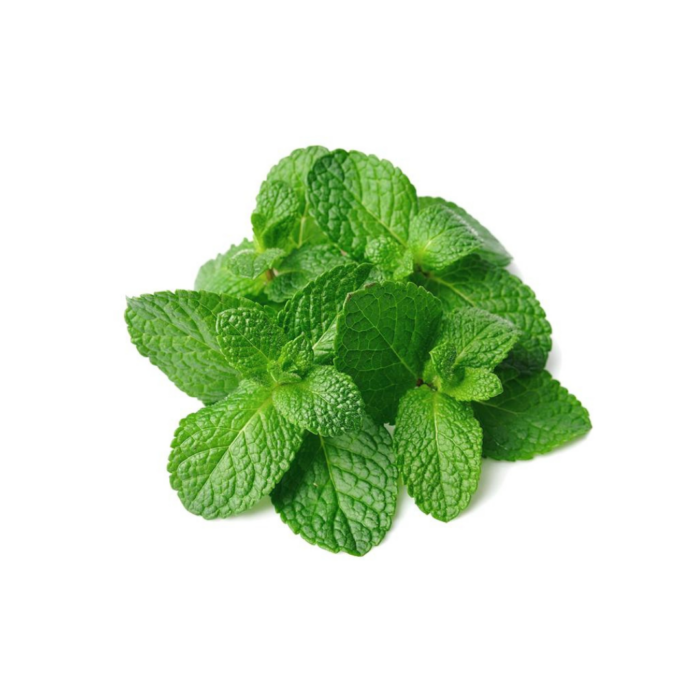 Hortelã orgânica (maço)