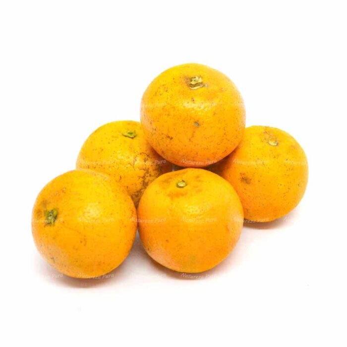 Laranja Pera orgânica (1 kg)