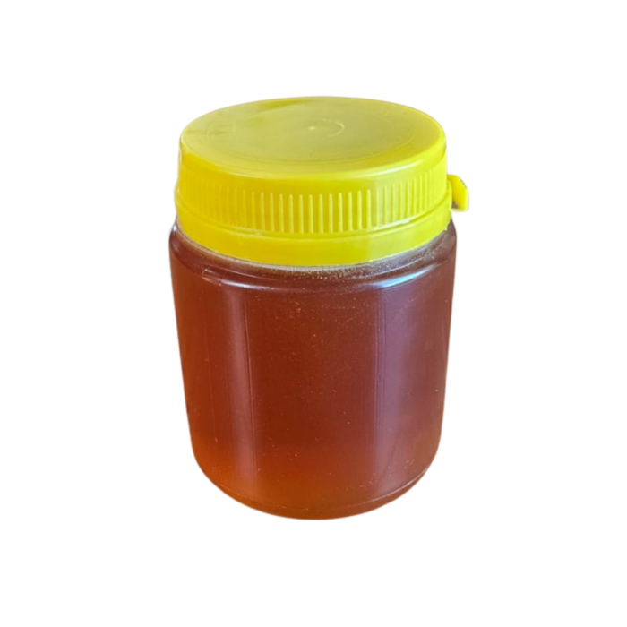 Mel Silvestre (500g)