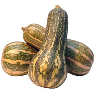 Abóbora Paulista orgânica (1,7 kg)