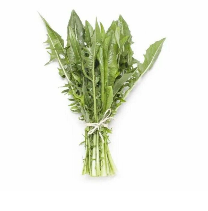 Almeirão Catalonia orgânico (maço)